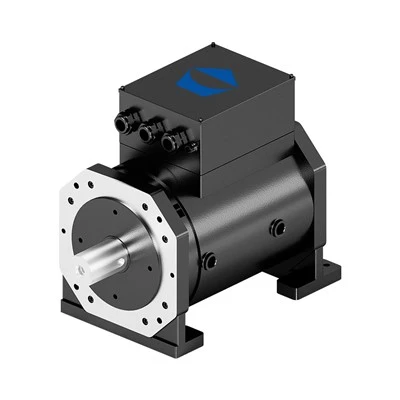 Motor Servo Sejagat IPM